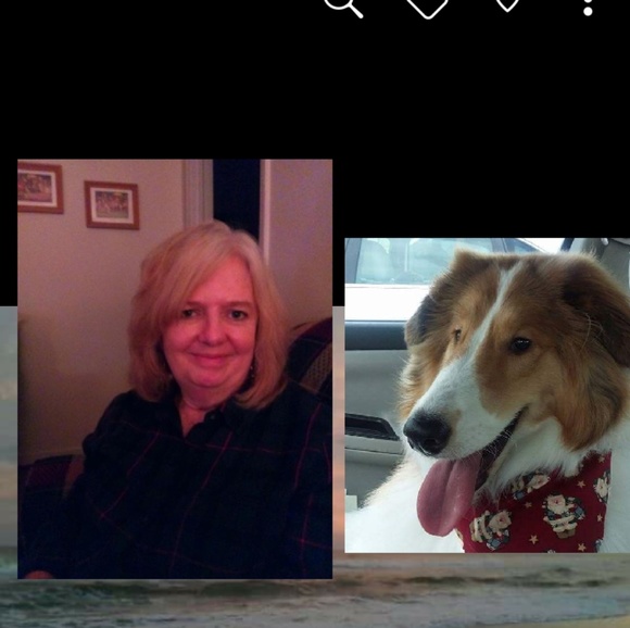 Meet your Posher, Doris - Picture 1 of 1